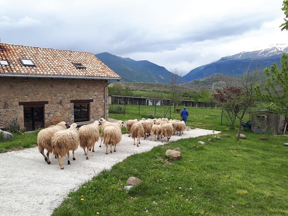 Albergue A'Noguera Кастиейо де Хака Екстериор снимка