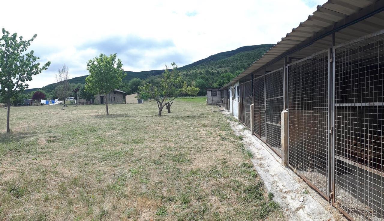 Albergue A'Noguera Кастиейо де Хака Екстериор снимка